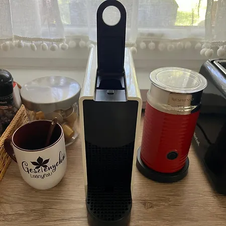 Gesztenyehaz Vendeghaz A Dunakanyarban Fuerdodezsaval * Leányfalu