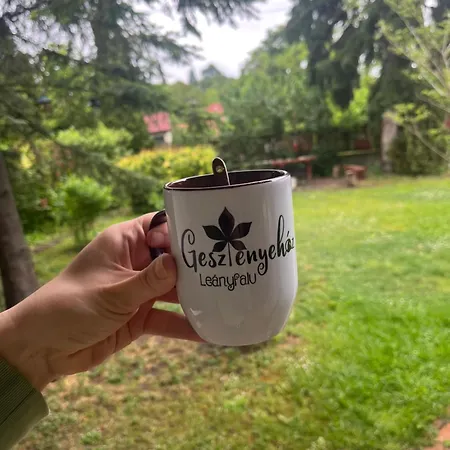 Case de vacanță Gesztenyehaz With Hot Tub Leányfalu